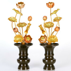 yA~ 79{ WʐF ΁z(ԗʔ)  p  pi     S[h