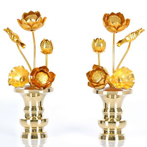 yA~  75{ Fz(ԗʔ)  p  pi     S[h