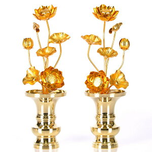 yA~  47{ Fz(ԗʔ)  p  pi     S[h