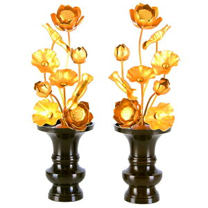 yA~  69{ Fz(ԗʔ)  p  pi     S[h