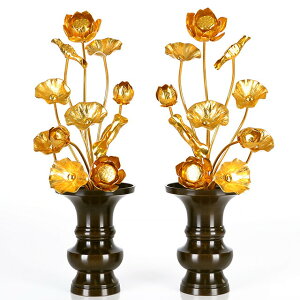 yA~  ڐ11{ F z(ԗʔ)  p  pi     S[h