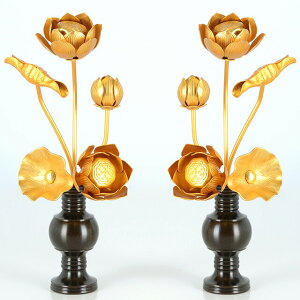 yA~  45{ iؕepjz(ԗʔ)  p  pi     S[h