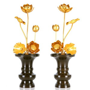 yA~  45{ z(ԗʔ) p  pi     S[h