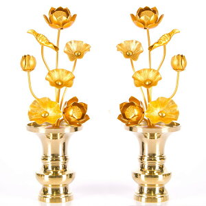 yA~  47{ z(ԗʔ)  p  pi     S[h