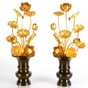 yA~  ڐ13{ z(ԗʔ) p  pi     S[h