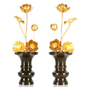 y^J 65{ z[Y][]  ^J @  @v ͂Ȃ  p   6