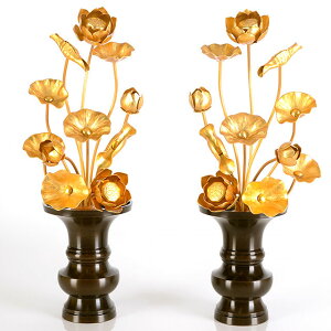 y^J 911{ z[Y][]  ^J @  @v ͂Ȃ  p   9