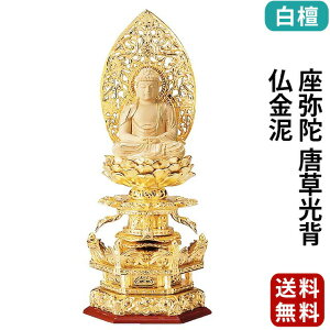   ZpP}t h  w D 2.0`3.0 y@ @ V@ {l ؒ 