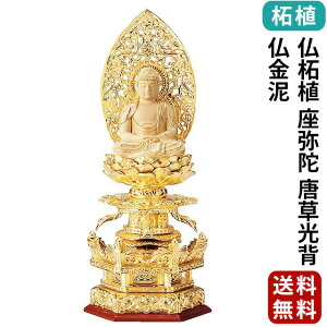   ZpP}t ѐA  w D 2.0`3.0 y@ @ V@ {l ؒ 