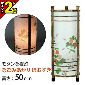 yP2{15z~  { 킢  ~j _Ȓ񓔁yȂ݂ ق ]t (1{)zPi 50cm dCR[h Y ] ] Y  ~ V