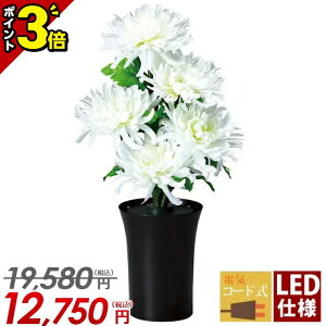 yP3{X[p[Z[zyc1_z~  ~ ~j _ V~ u LED   傤  킢y~iX V~iX eidCR[hELEDdljPi 