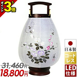 yP3{}\zy_R[hX ԗԍs XC[gs[ d LEDdrt Pi (1{)z~  ~ ~j _ V~ u LED   傤  