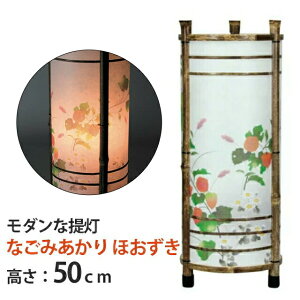 ~  { 킢  ~j _Ȓ񓔁yȂ݂ ق ]t (1{)zPi 50cm dCR[h Y ] ] Y  ~ V~ ~ ~ ~ 