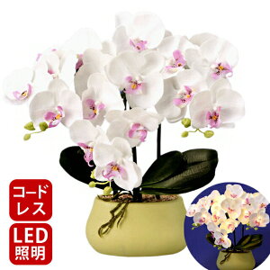 �y�c��1�z�~�� ���~ �� ���_�� �u���� �~�j �R�[�h���X LED �� ���ԁy���[�~�[���~�i�X 3�{�� ����(1�{)�z����43cm ������� ���G�}�R�[�e�B���O ���~ �V�~ ���~ �~�� ���^ ��O�� ��