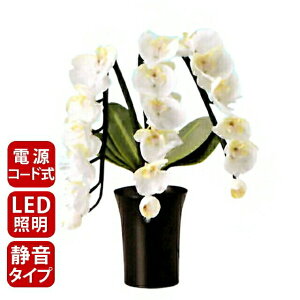 ~  ~ ~j _ V~ u LED  ԁyOh~iX STD Ӓ3{ LED (1{)z48cm Y { 傤  킢 dCR[h ~ 23833