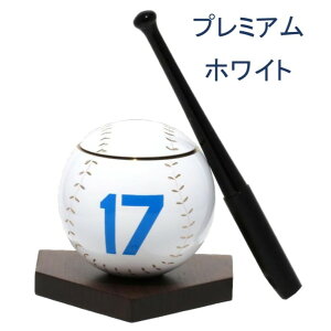 yGood Luckz싅{[ No 17ObhbN 4_Zbg @̂ Yi