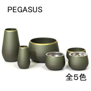 yPEGASUS 3z6_Zbg 5J[ ^J Fr[Yt