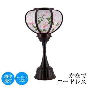 ~ Ȃ R[hX 26cm × a13cm A_Ԗ200 R[hX LED _ ~j { ~ V~ 򕌒