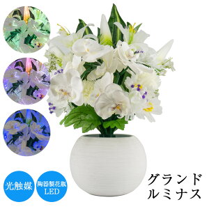 ~ Oh~iX 50cm ~ ~ V~ n _ ~iX }  t    K CeA l\ lC  d ~傤 ybg   