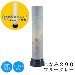 yGg[Ń|Cg10{z~ Ȃ290u[O[ 29cm × a7.5cm A_Ԗ50 R[hX LED _ ~j { Za ~ V~ 򕌒 O\GV[