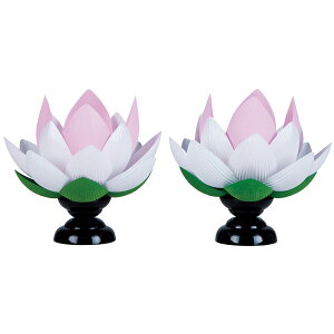 y|Cg2{z~  @ 20cm × 18cm