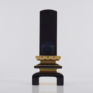 yGg[Ń|Cg10{zCF dC