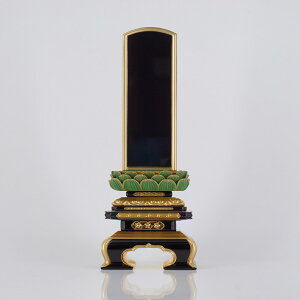 y|Cg2{zʕɏq@ؘCF˔Mt