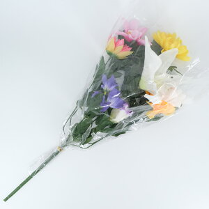 y|Cg2{z ԁiLj L 52.024.0cm