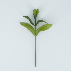 yCxg5{z݂̗tiؕepEԁj ڂݕt 16.0cm