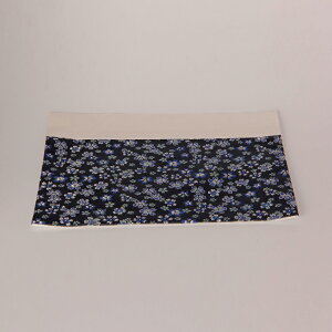 yGg[Ń|Cg10{zp(ŕ~) ̂ lCr[ 200 c30.0cm(10.0cm)×Ж65.0cm y1`2TԌ㔭\z