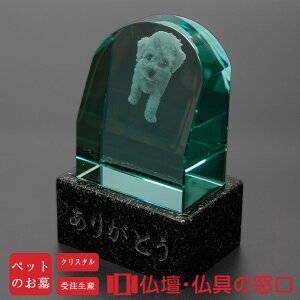 y|Cg2{zybĝ withiEBYj NX^^Cv Ԍ100mm s70mm 145mm  [U摜H 󒍐Y 茳{
