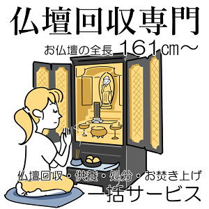  d  T[rX spi  {   グ ꊇ(d̑S 161cm ~) _I  @h  ʔv sv Â  d ʔv P p z   i  