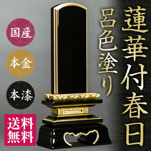 {̈ʔv @ؕtt CF ʔv  yzy㍞zyiۏ؁zyT[rXz Y  ʔv {  RpNg ~j   vw ͂ ybg 3.5 