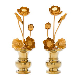  A~ F 5{ 4 ԗpiFԗZbgj