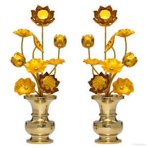  A~ 㓙 9{ 1΁i8.0/ԗijZbgj