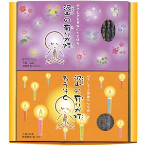  p  Mtg  i R̗Li肪ƂjMtgyyΉzŷzyzyz