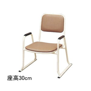 @pi It{pw֎q X`[pCv uE 30cm  @v @ kb uK W