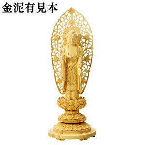 y|Cg10{I`1111܂Łz ѐA ۑ(@) M w D 5.0