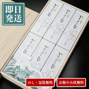  p ~ ~ V~ ~  Mtg  i Ԃ Z6 yyΉzŷzyzyz