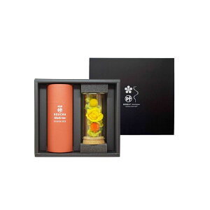 i t flower gyƃvU[uht[̃Zbgz