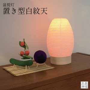y艿i+|Cg10{z~ ~ u^V LEDE\Nt R[hX 21cm( V~ Mtg 䋟 ~ 킢^ ~  _d 㕧d  ~ ~ ~