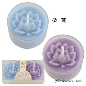 ySi|Cg5{zsԂ낤uԗv4t O낤 { Ԃ̃LhMtg ԃ[\N Lh 낤 [\N p ip Mtg ̂ ~ @ ފ r 