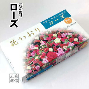 ySi|Cg5{z i O Ԃ胍[Y ^Cv (Ε r p i KN̍ ~ r ފ 䋟 O) y