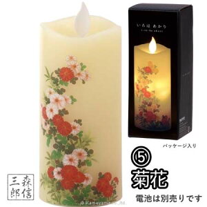 ySi|Cg5{zLEDE\N LEDLh OE\N S6 ͂S (~j) {u ( 邢 炬 ^C}[ Cg R[hX ₵ bNX v[g  