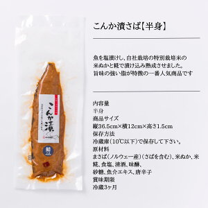 y①zy񂩒 Δgz ւ  I To   ܂  Mtg  ΐ ` i  