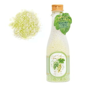 Vhl C oXp[ Ԃǂ  Mtg v[g [[[GLXz