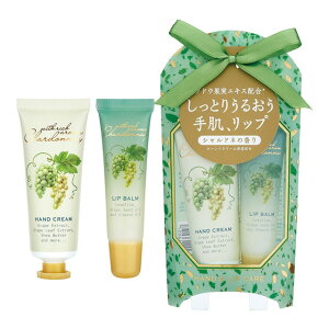 Vhl nh & bvPAZbgi nhN[Abvo[ j Ԃǂ̍