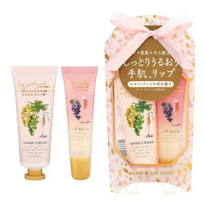 Vhl Xp[NO nh & bvPAZbgi nhN[Abvo[ j Ԃǂ̍