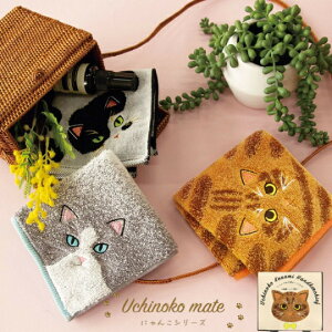 ̂Cg L̖ѕ ^I nJ` ͂񂩂 Uchinoko mate ɂ ˂ w Vw V 