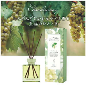 Vhl C [h fBt[U[ F܁[ F Mtg F   tOX tOXIC